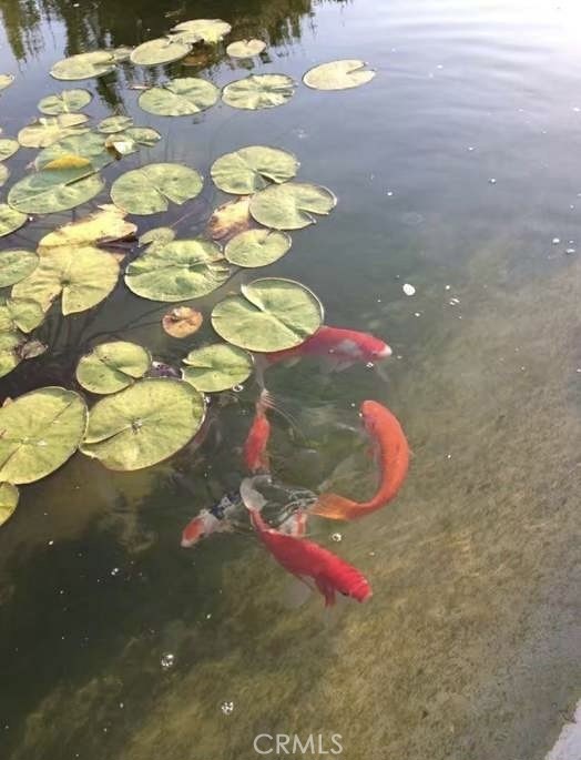 MLS #WS25267882 image #35