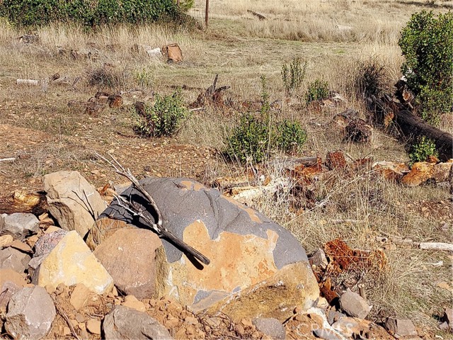 Detail Gallery Image 10 of 13 For 15240 Summit, Cobb,  CA 95426 - – Beds | – Baths