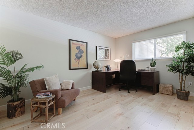 3600 Shannon Way photo 30