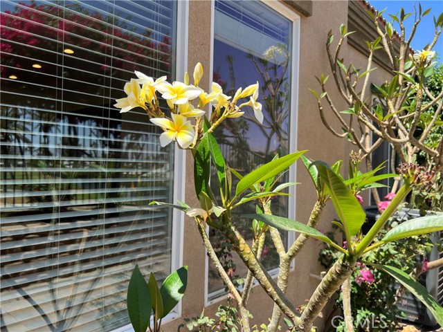 Image 51 of 53 For 77184 California Drive