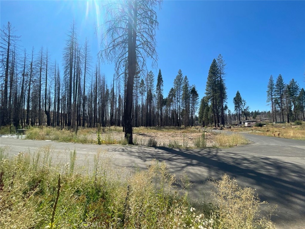 0 Winding Way, Grizzly Flats, CA 95636