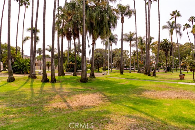 219 Oswego Avenue, Huntington Beach CA: https://media.crmls.org/medias/2b052128-a839-45ce-969c-67ea7a327e96.jpg