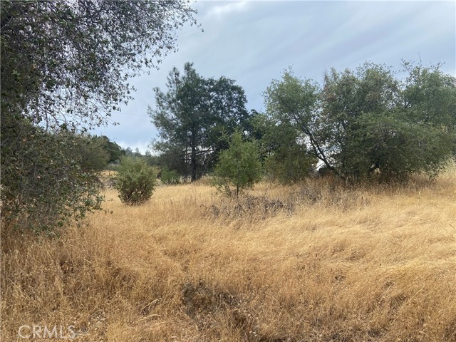 0 Hogans Mountain RD, Coarsegold, California 93614, ,Land,For Sale,0 Hogans Mountain RD,CRMP23147543