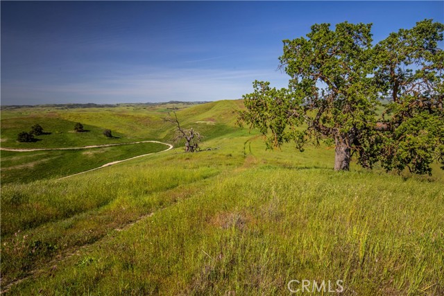 Detail Gallery Image 9 of 29 For 77505 Reinert Rd, San Miguel,  CA 93451 - – Beds | – Baths