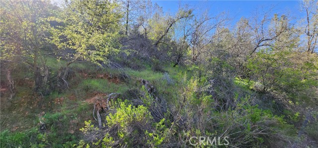 5587 Panorama Road, Lower Lake, CA, 95457 5587 Panorama Road, Lower Lake, CA, 95457
