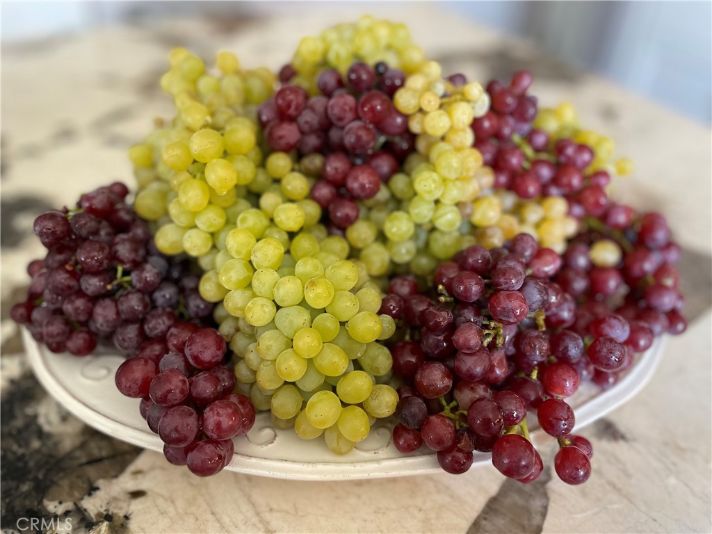 https://media.crmls.org/medias/2b1fcecd-b487-44d9-b9d0-405642d1a317.jpg?preset=X-Large