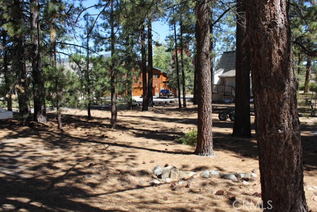 View Property | Hud and Mary Wilson | Big Bear Lake Certified Big Bear