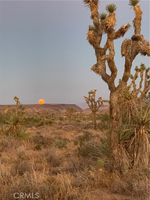 Detail Gallery Image 7 of 7 For 100 Gods Way Love Rd, Pioneertown,  CA 92268 - – Beds | – Baths