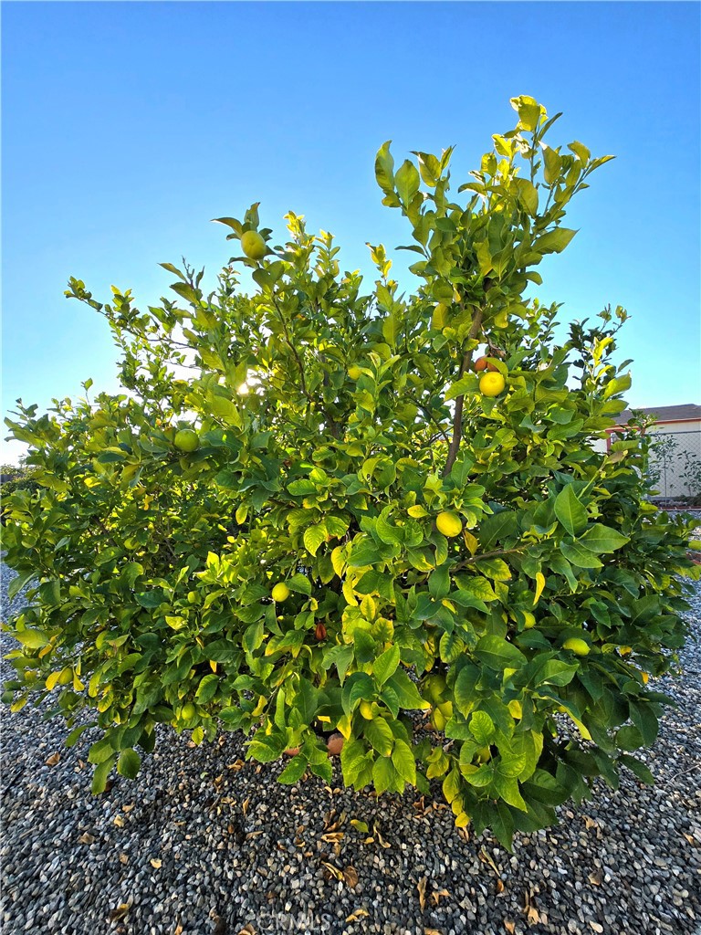 MLS #IV25271190 image #37