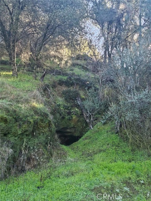 Detail Gallery Image 38 of 49 For 50814 Road 200, O Neals,  CA 93645 - 3 Beds | 3 Baths