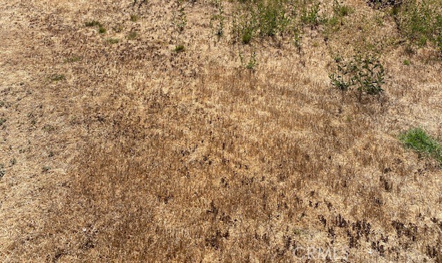 Front Image Thumbnail for CRPW26047604