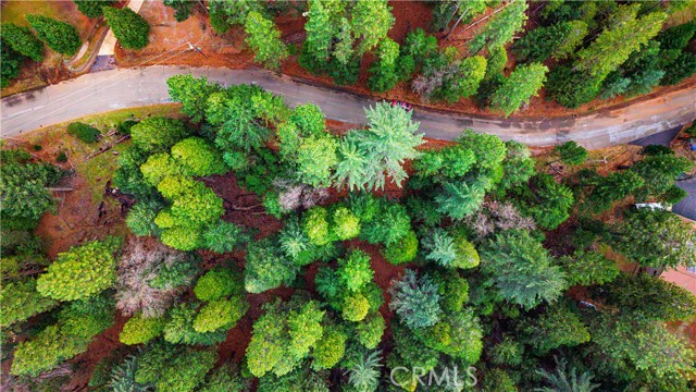 Front Image Thumbnail for CROC26039285