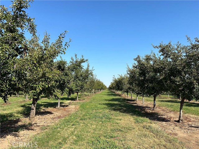 24365 Oklahoma Avenue, Red Bluff CA: https://media.crmls.org/medias/2b41247f-b37b-45f6-89bc-6fa7dc1b51bb.jpg