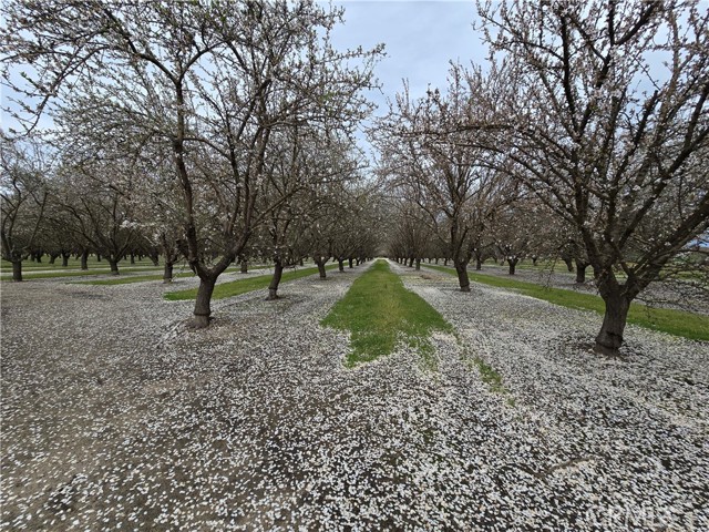 Detail Gallery Image 2 of 13 For 19688 Santa Fe, Escalon,  CA 95320 - – Beds | – Baths