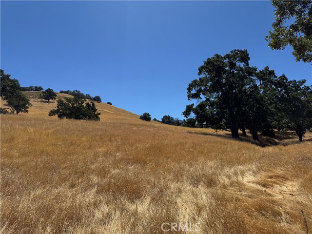 Detail Gallery Image 10 of 17 For 0 Arosa Rd, Tehachapi,  CA 93561 - – Beds | – Baths