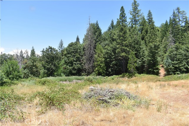 Detail Gallery Image 12 of 43 For 11605 La Porte Rd, Clipper Mills,  CA 95925 - 3 Beds | 2/1 Baths