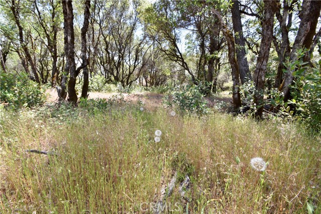 0 Mackey Court, Oroville CA: https://media.crmls.org/medias/2b52e0bb-d91a-4247-8232-0746f5b2fe0c.jpg