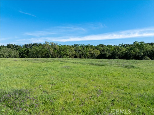 Detail Gallery Image 11 of 38 For 8 Championship Lane, Templeton,  CA 93465 - – Beds | – Baths