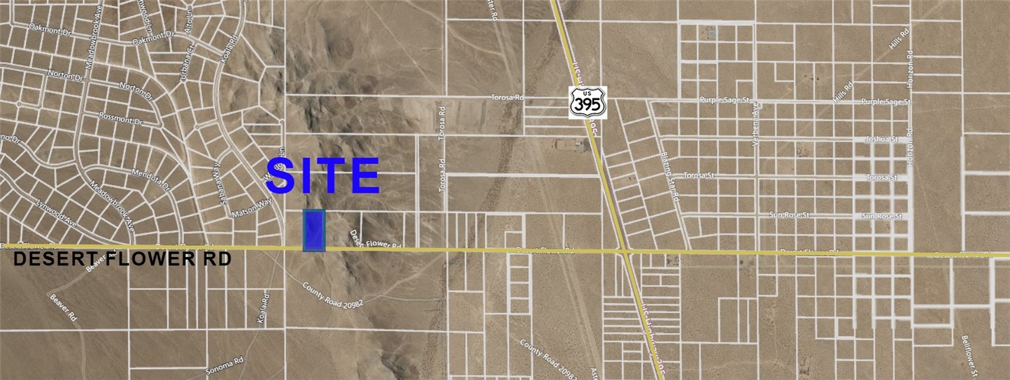 0 Desert Flower Road, Adelanto, California 92301, ,Land,For Sale,0 Desert Flower Road,CRHD22230030