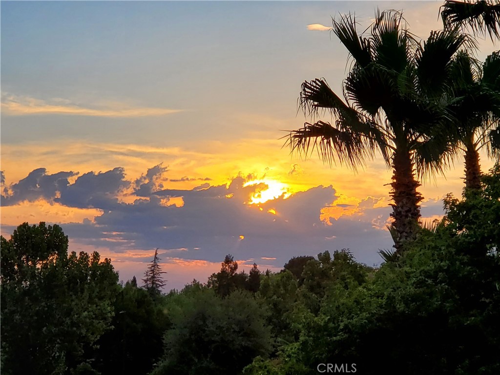 https://media.crmls.org/medias/2b5cc8b0-f7c2-4c76-8d6e-b2f7e92ae092.jpg?preset=X-Large