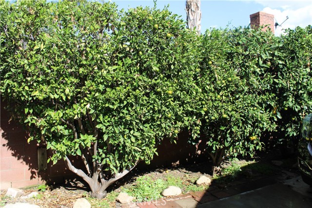 Detail Gallery Image 38 of 40 For 312 W I, Ontario,  CA 91762 - 3 Beds | 2/1 Baths