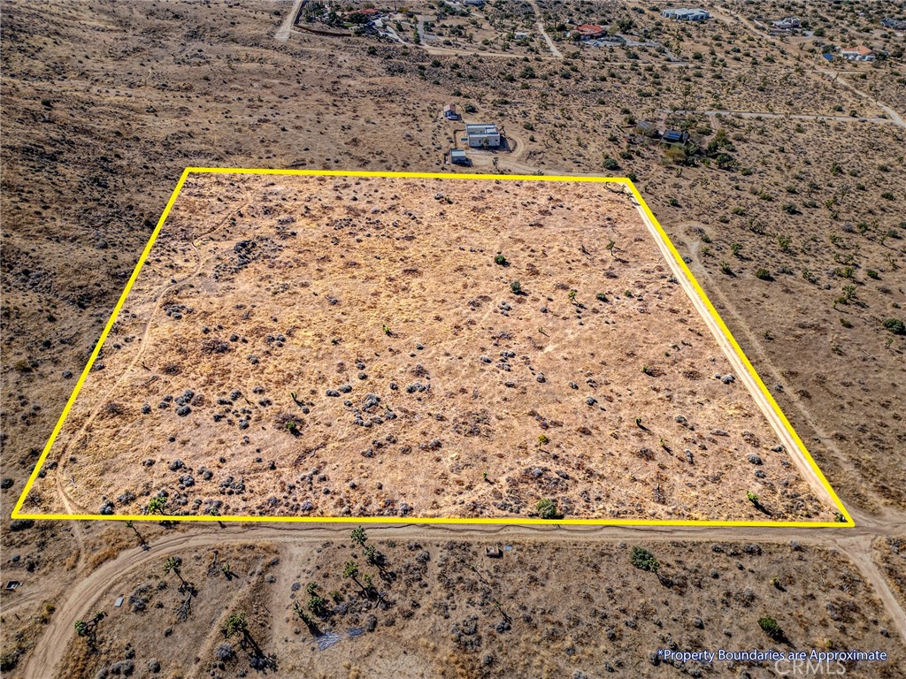 MLS #JT25046600 image #5