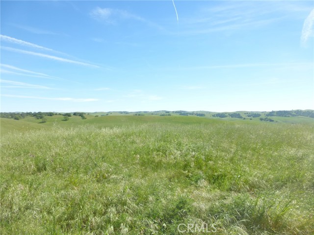 Detail Gallery Image 31 of 42 For 0 Douglas Rd. (Lot 28), San Miguel,  CA 93451 - – Beds | – Baths