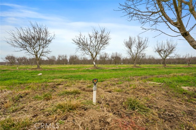 Detail Gallery Image 21 of 47 For 16221 Carrolton, Escalon,  CA 95320 - – Beds | – Baths