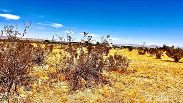 0 Sheep Creek Road, Adelanto CA: https://media.crmls.org/medias/2b6e07e8-b87a-4028-90dd-4a64802785b3.jpg