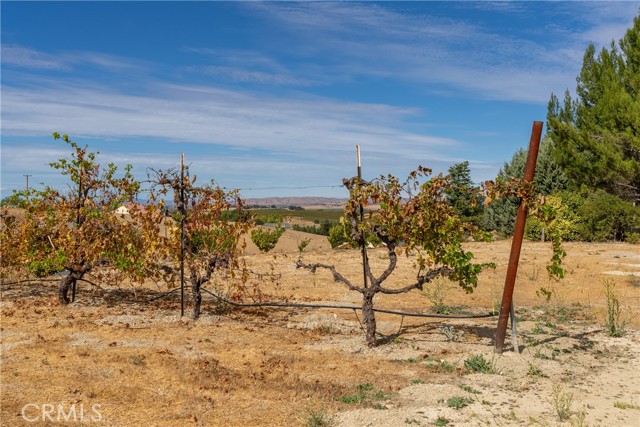 Detail Gallery Image 44 of 68 For 8230 Baron Way, Paso Robles,  CA 93446 - 3 Beds | 2 Baths