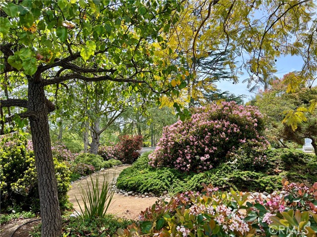 31561 Peppertree, San Juan Capistrano CA: https://media.crmls.org/medias/2b7109f2-36ba-426c-90bd-1f449806dc3d.jpg