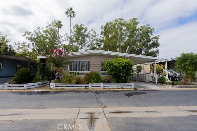 Front Image Thumbnail for CROC26003991