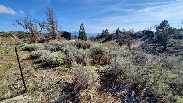 25041 Jacaranda Drive, Tehachapi, California 93561, ,Land,For Sale,25041 Jacaranda Drive,CRSR23210317