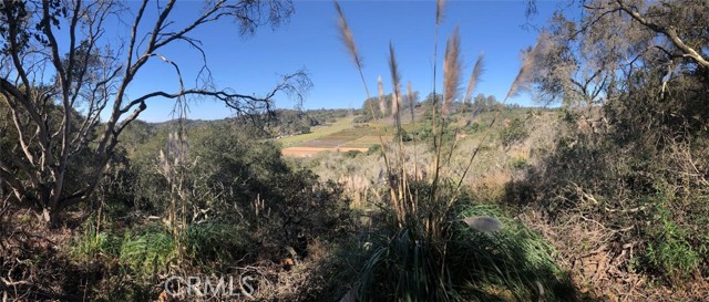 Detail Gallery Image 4 of 9 For 221 Tucker Rd, Royal Oaks,  CA 95076 - – Beds | – Baths