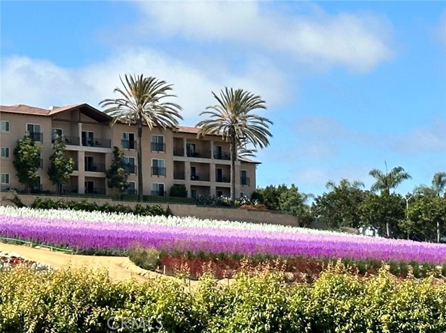 Detail Gallery Image 33 of 36 For 912 Caminito Madrigal #I,  Carlsbad,  CA 92011 - 2 Beds | 2 Baths