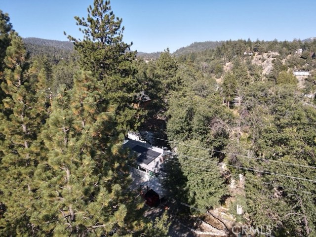 Detail Gallery Image 30 of 42 For 32765 Cougar, Arrowbear,  CA 92382 - 3 Beds | 1 Baths