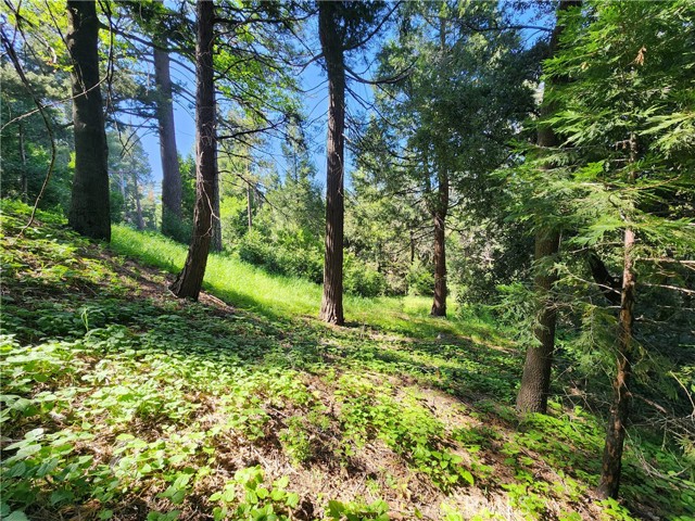 Detail Gallery Image 20 of 21 For 811 Deer Trl, Crestline,  CA 92325 - – Beds | – Baths