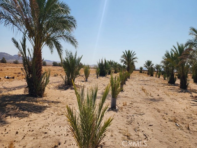 44624 Demmiel Road, Yermo CA: https://media.crmls.org/medias/2b809e8e-aa7e-49f9-93cb-4635c51144cd.jpg