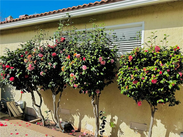 2270 W 231st Street, Torrance CA: https://media.crmls.org/medias/2b81f8c5-f345-4e8e-936c-19ec874af154.jpg