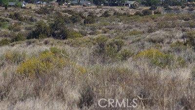 Detail Gallery Image 6 of 9 For 4 Wilson Ranch Rd, Phelan,  CA 92371 - – Beds | – Baths