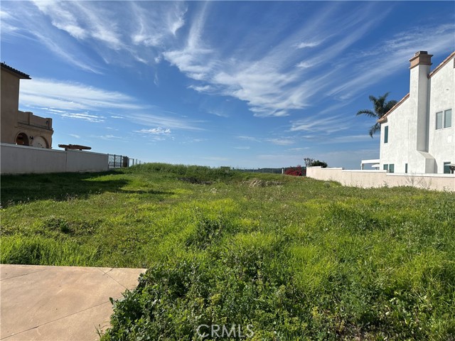 Front Image Thumbnail for CROC26025832