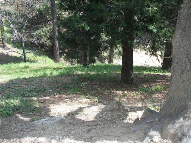 Detail Gallery Image 5 of 39 For 21524 Crest Forest Dr, Cedarpines Park,  CA 92322 - 2 Beds | 1 Baths
