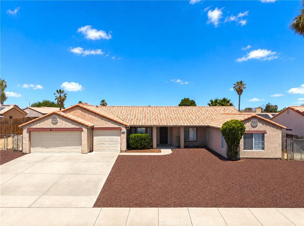 13368 Desert Primrose