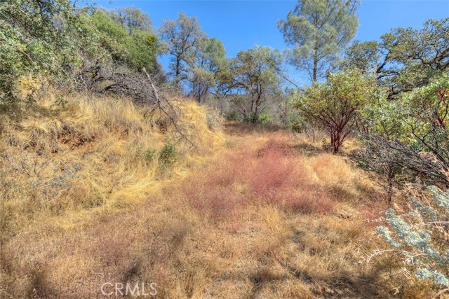 Detail Gallery Image 26 of 33 For 8700 Oro Quincy, Berry Creek,  CA 95916 - – Beds | – Baths