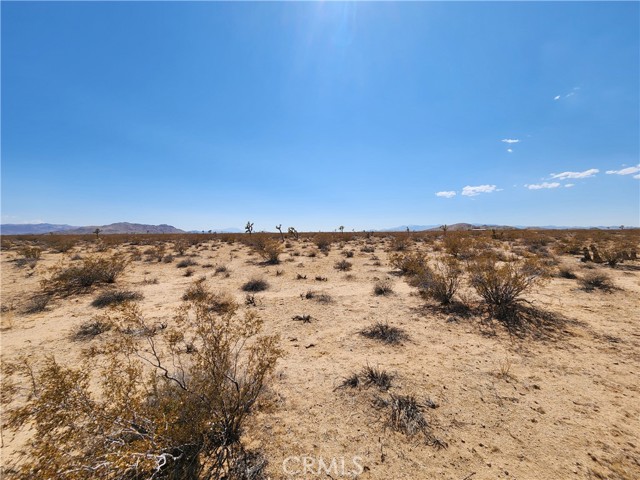 2020 Sunset Road, Joshua Tree CA: https://media.crmls.org/medias/2b8b790c-f835-43de-b81a-732e6ef86afa.jpg
