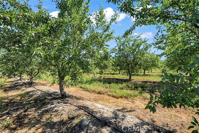 Detail Gallery Image 2 of 20 For 0 Buchanan Hollow Rd, Le Grand,  CA 95333 - – Beds | – Baths