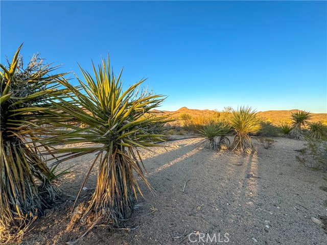 Detail Gallery Image 49 of 56 For 44080 Lanfair Rd, Needles,  CA 92363 - 3 Beds | 3 Baths