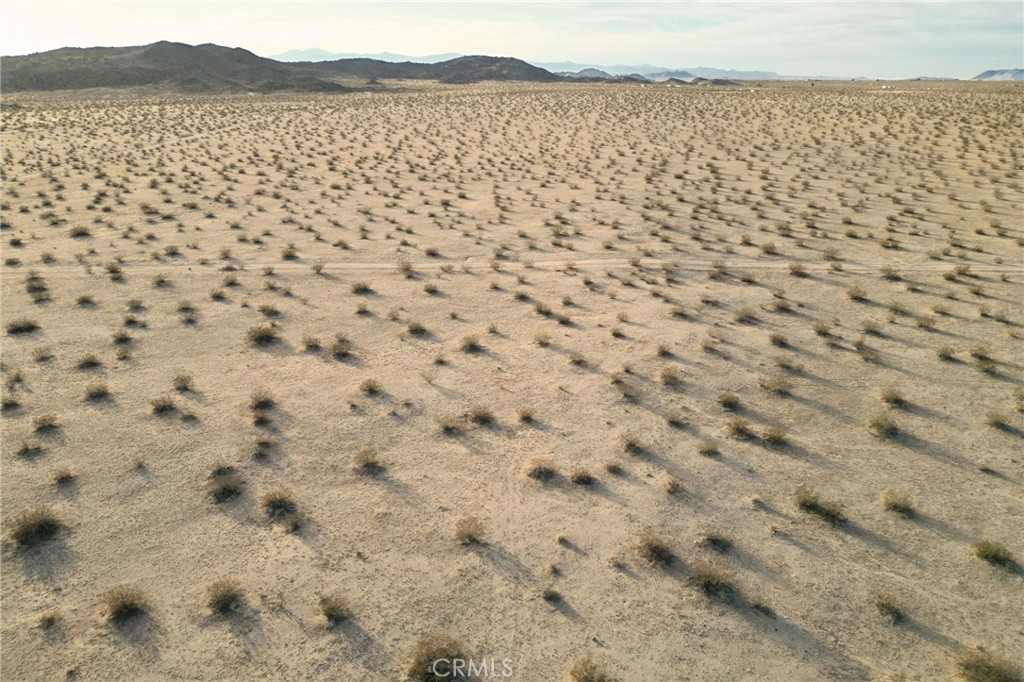 MLS #JT24251193 image #6