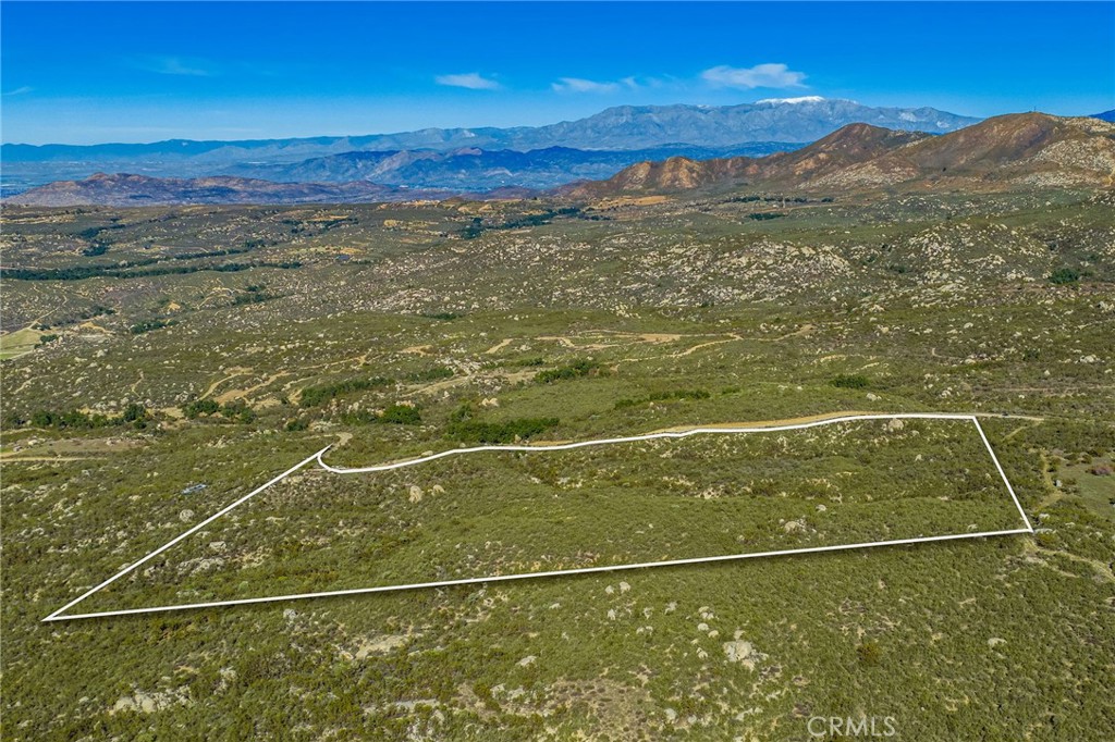 MLS #SW25270253 image #5