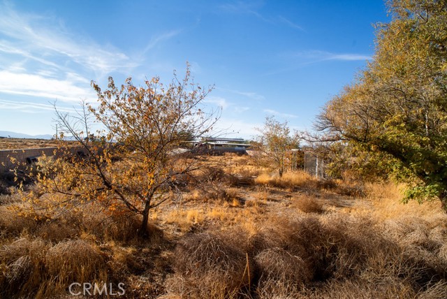 Detail Gallery Image 17 of 17 For 44315 88th St, Lancaster,  CA 93535 - 3 Beds | 2 Baths